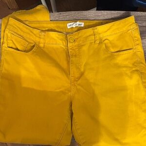Artisan Mustard Yellow Pants
